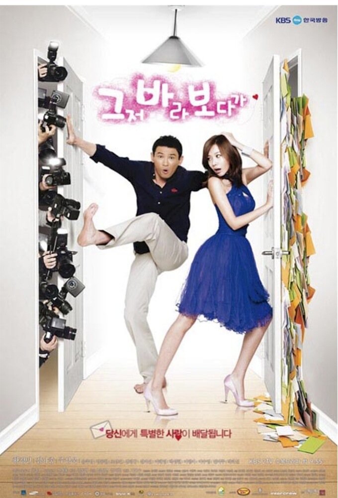 The Accidental Couple poster