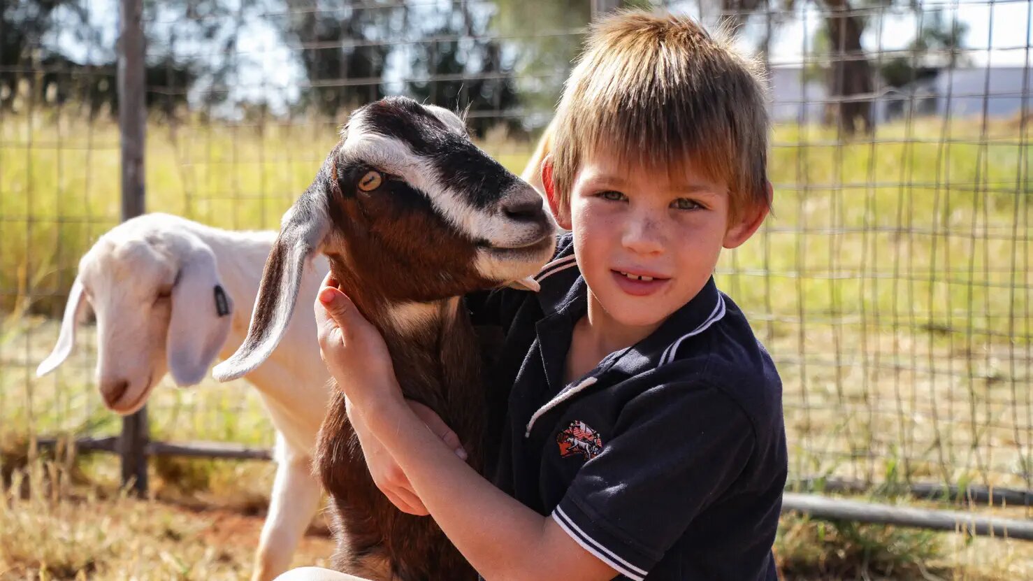 Outback Farm S1 E01 – You're Mad, You're Mad!