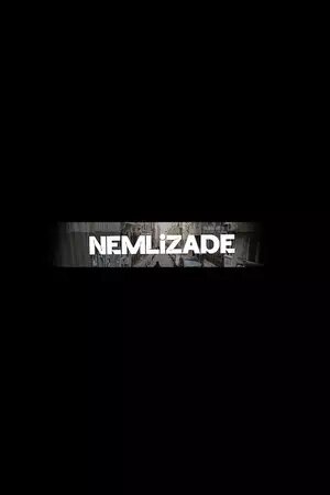 Nemlizade poster