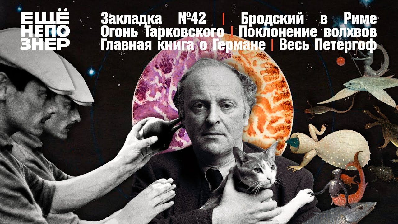 ещёнепознер S3 Special – Рим Бродского, огонь Тарковского, Герман «Сеанса» и весь Петергоф #закладка №42