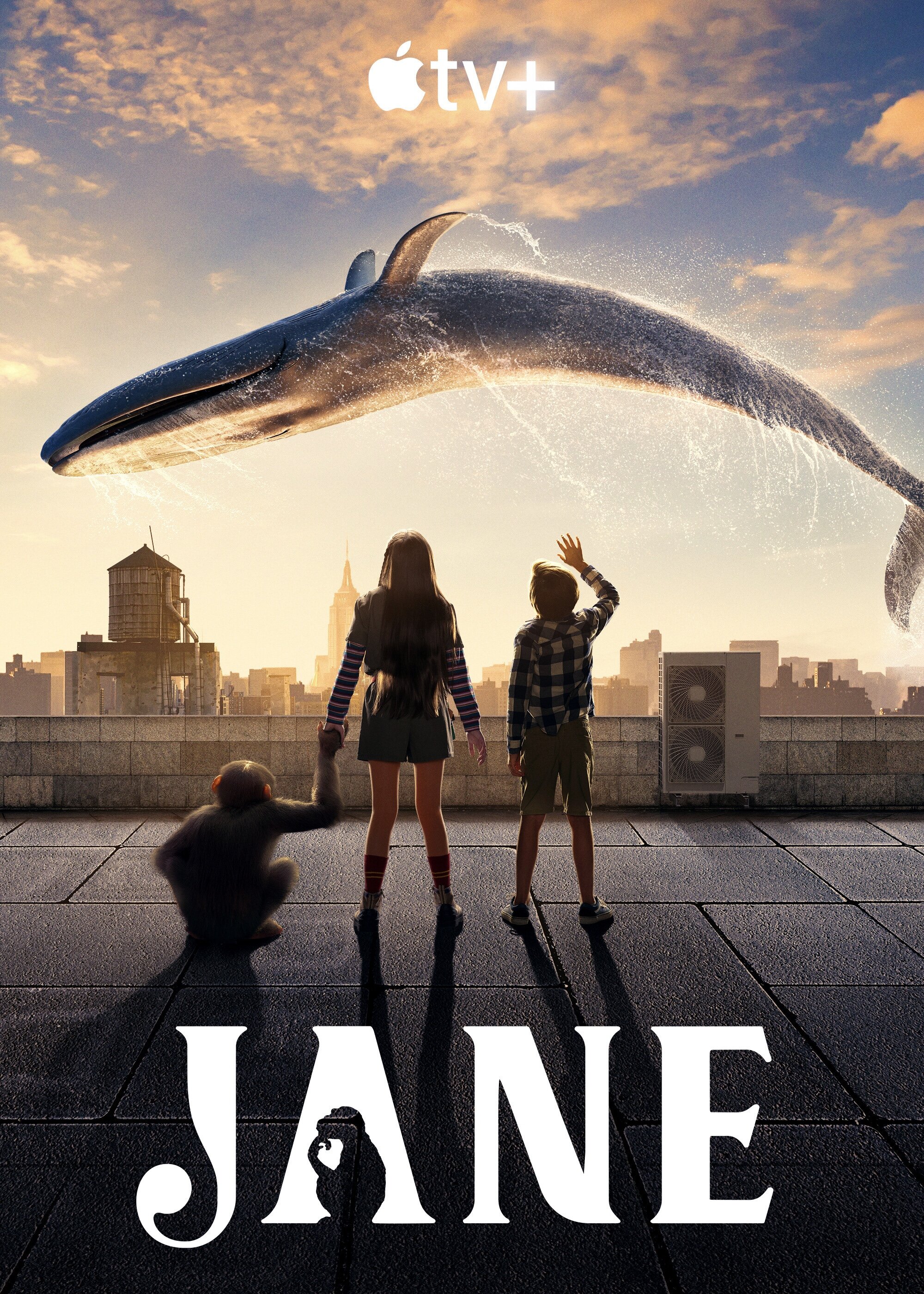 Jane Season 1 poster