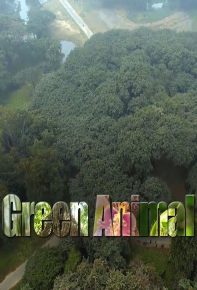 Green Animal poster