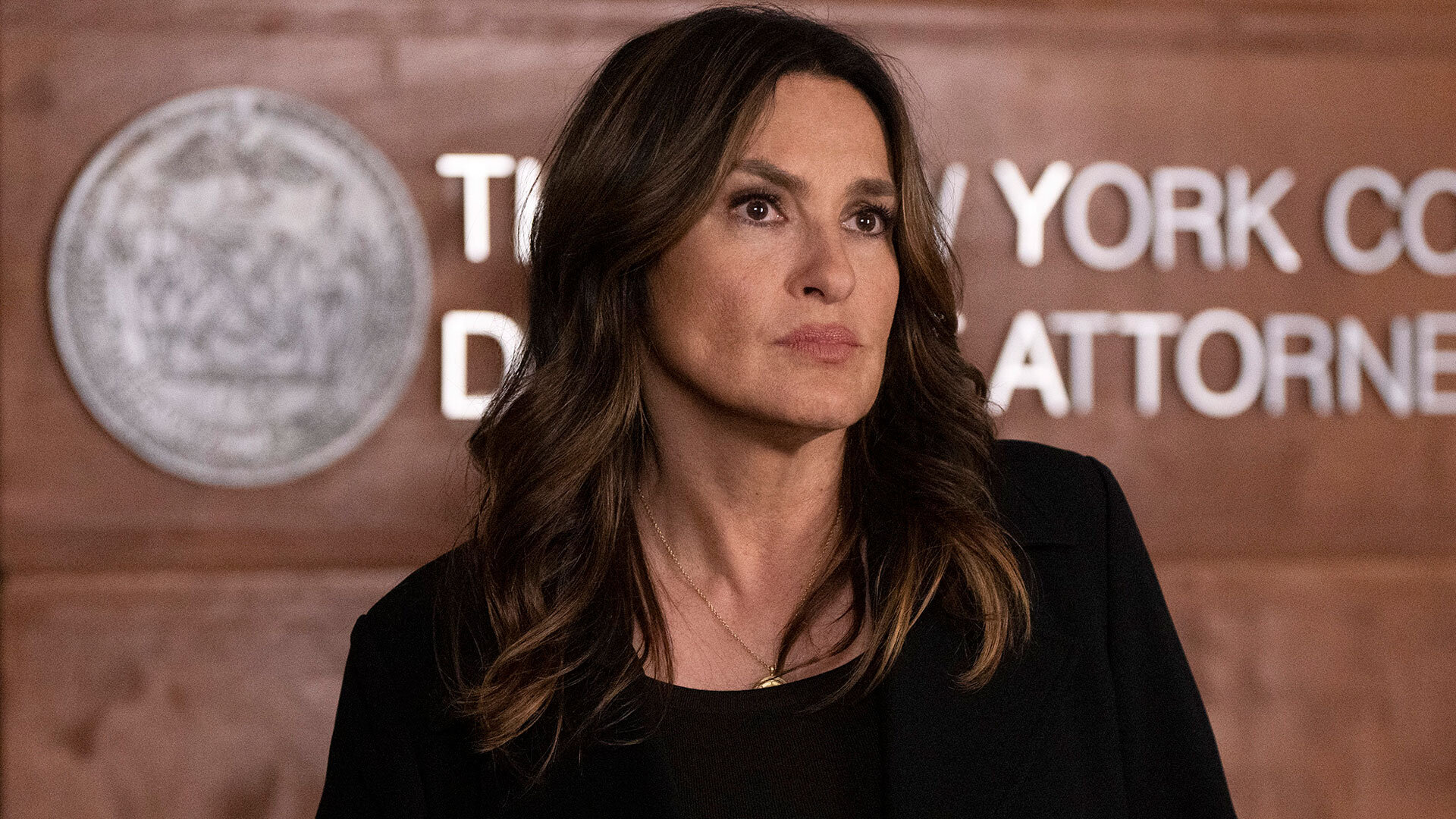 Duty To Hope - Law & Order: Special Victims Unit 25x13 | TVmaze