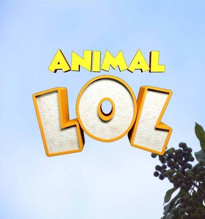 Animals LOL
