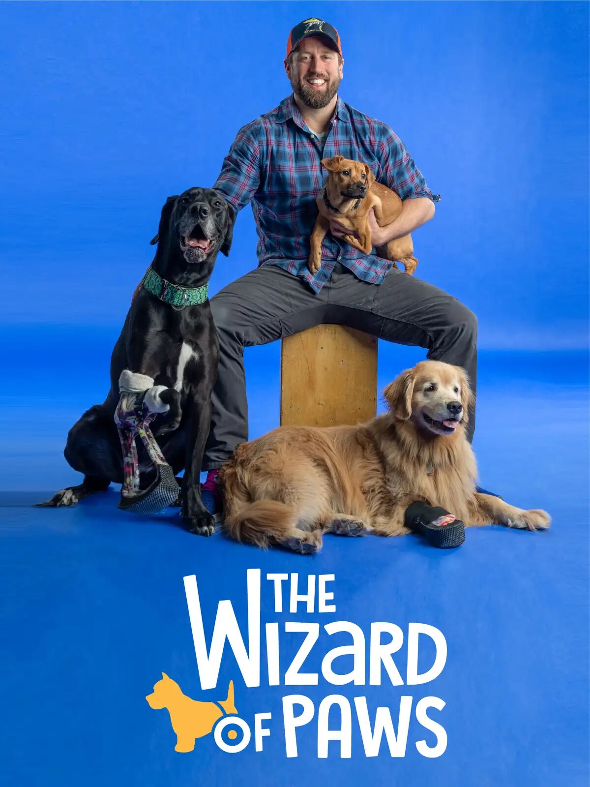 The Wizard of Paws poster