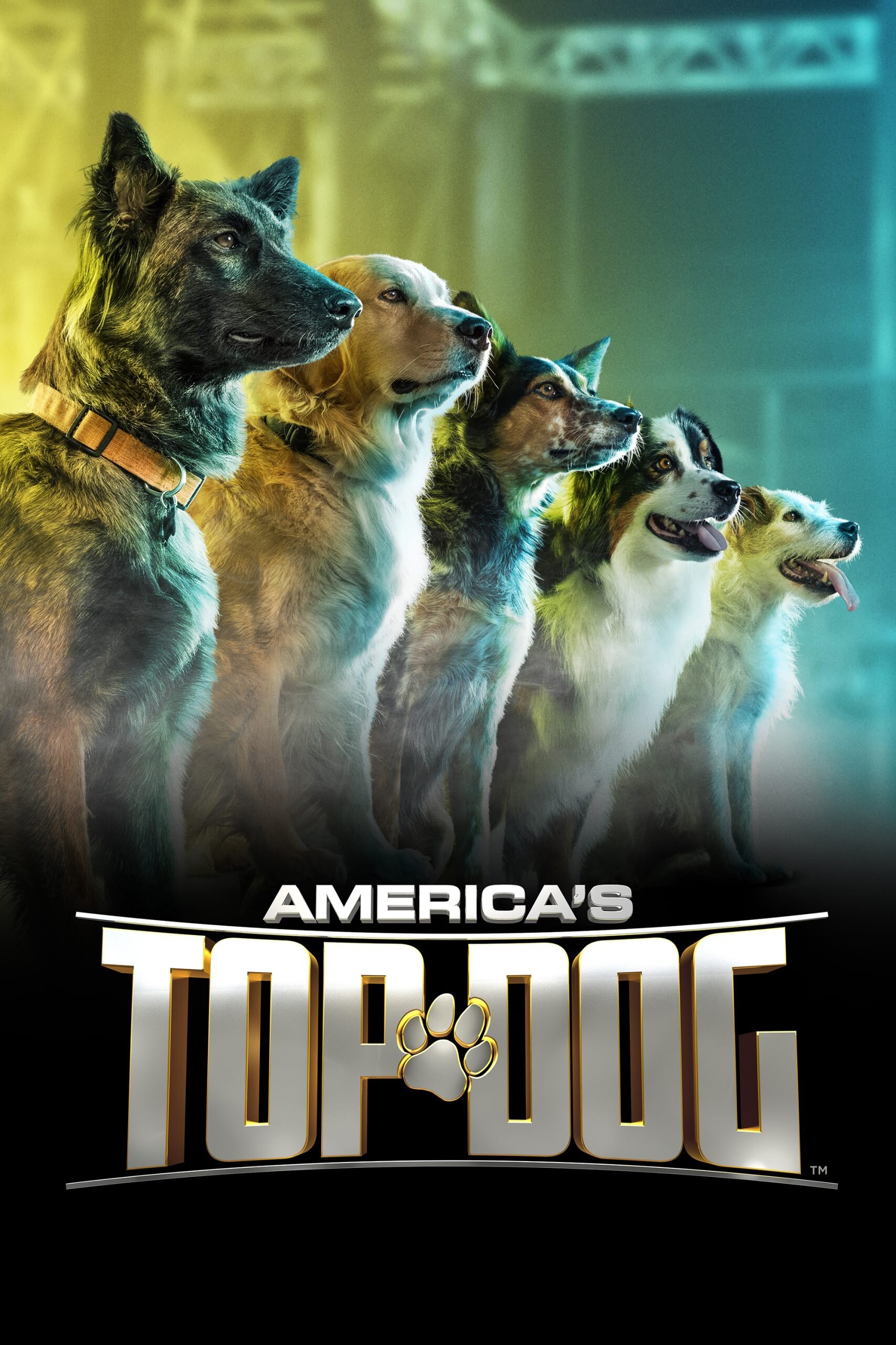 America's Top Dog
