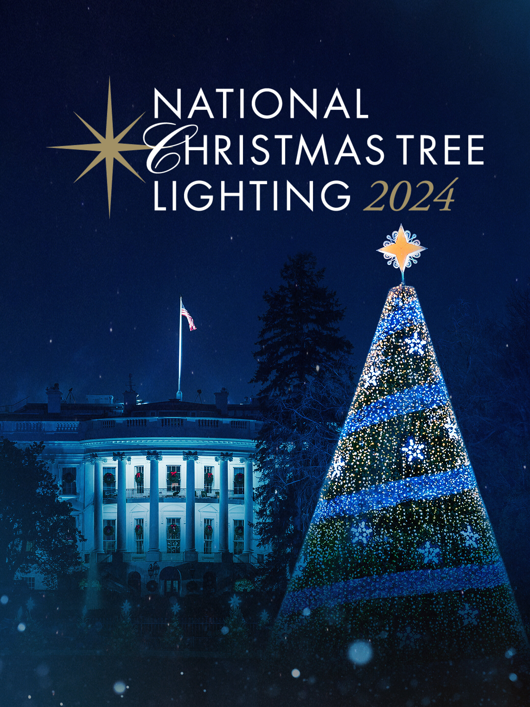 National Christmas Tree Lighting poster