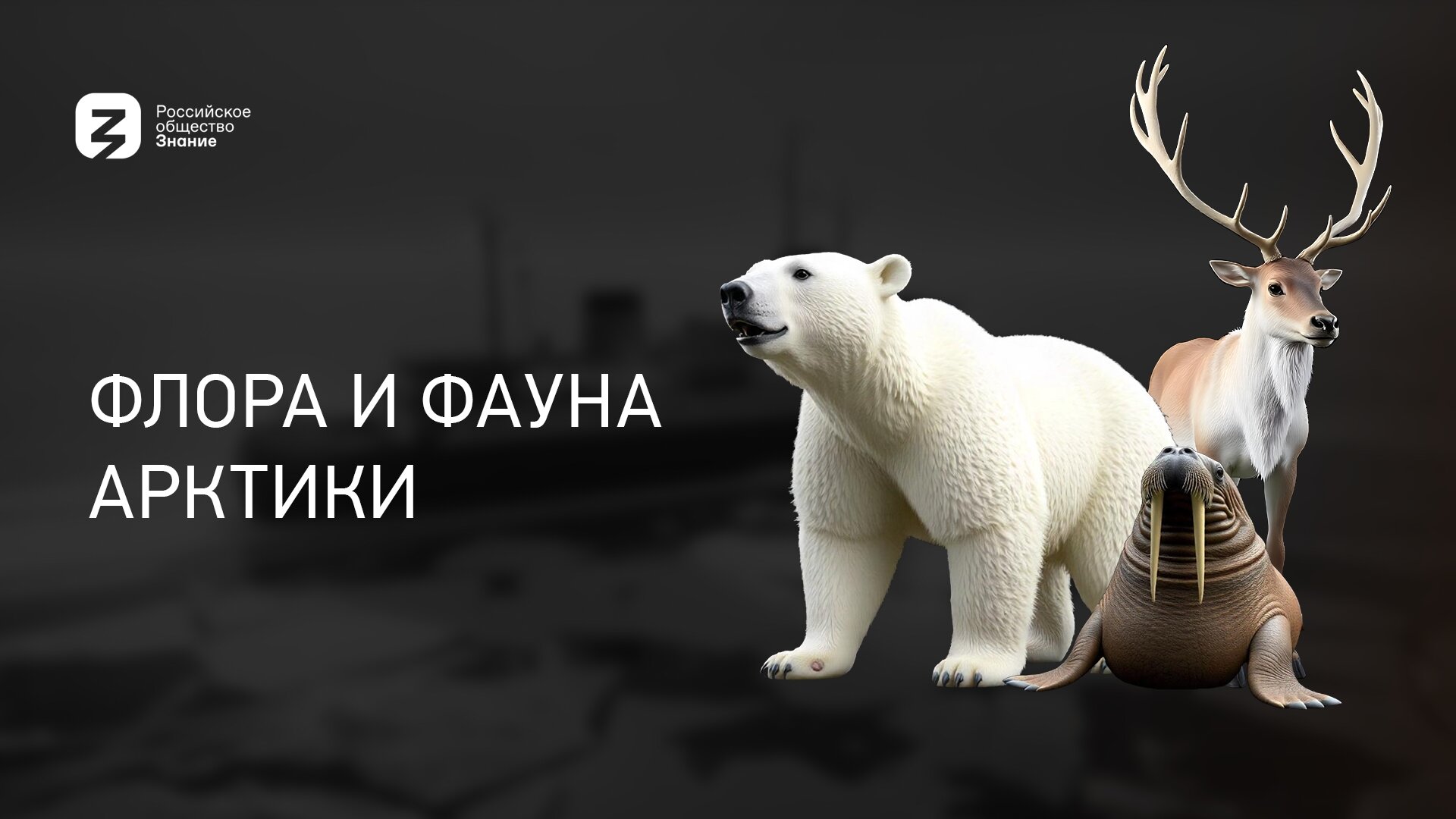 Плавучий университет S1 E02 – Флора и фауна Арктики