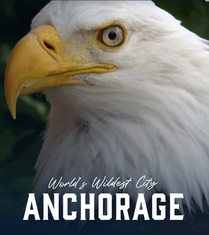 The Wildest City in The World: Anchorage poster