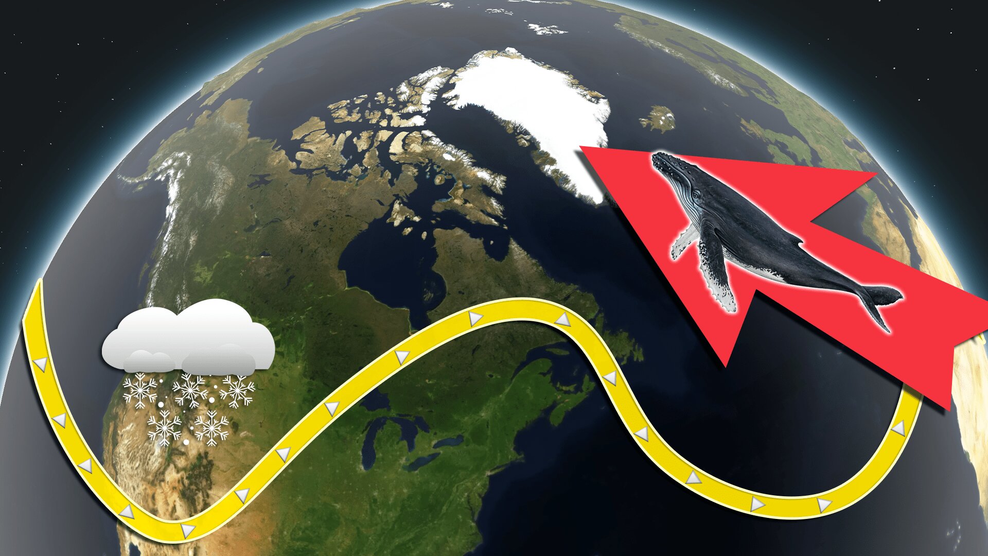 Weathered S3 E13 – What Could Thousands of Mysterious Whales Tell Us About Our Weather?