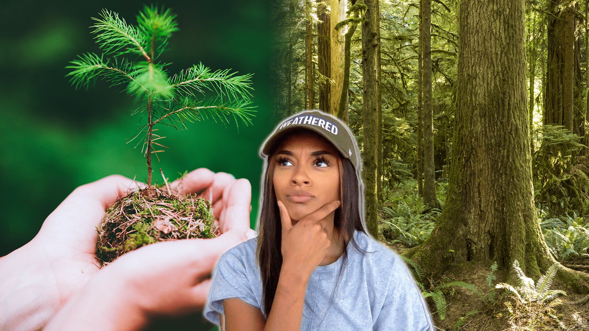 Weathered S2 E04 – Surprising Truth Behind Planting Trees and Climate Change