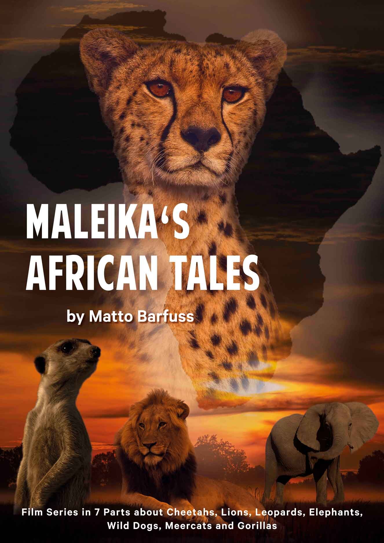 Maleika's African Tales poster