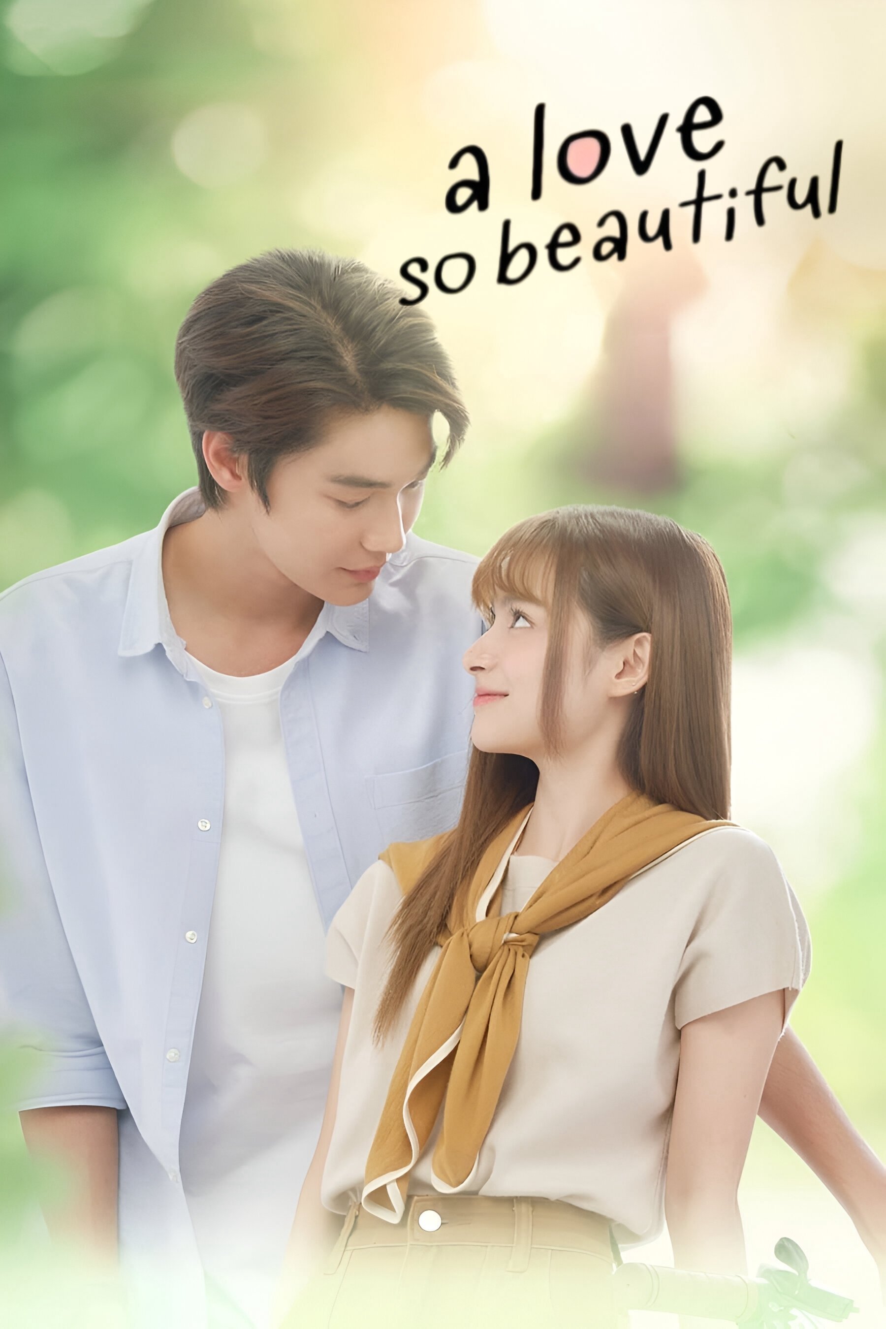 A Love So Beautiful poster