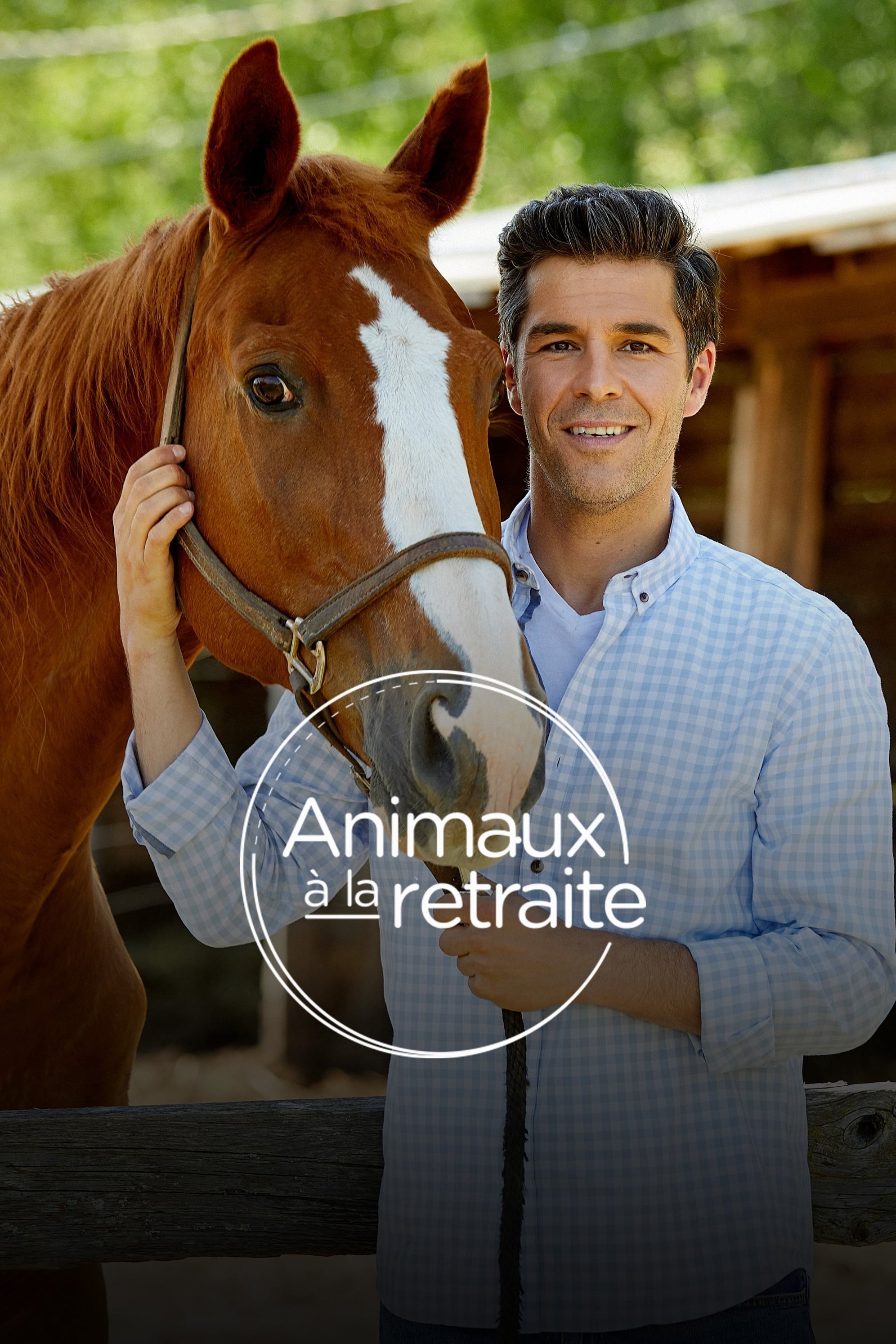 Animaux à la retraite – official series poster, TVA