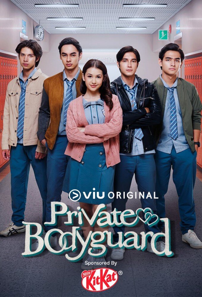 Private Bodyguard poster