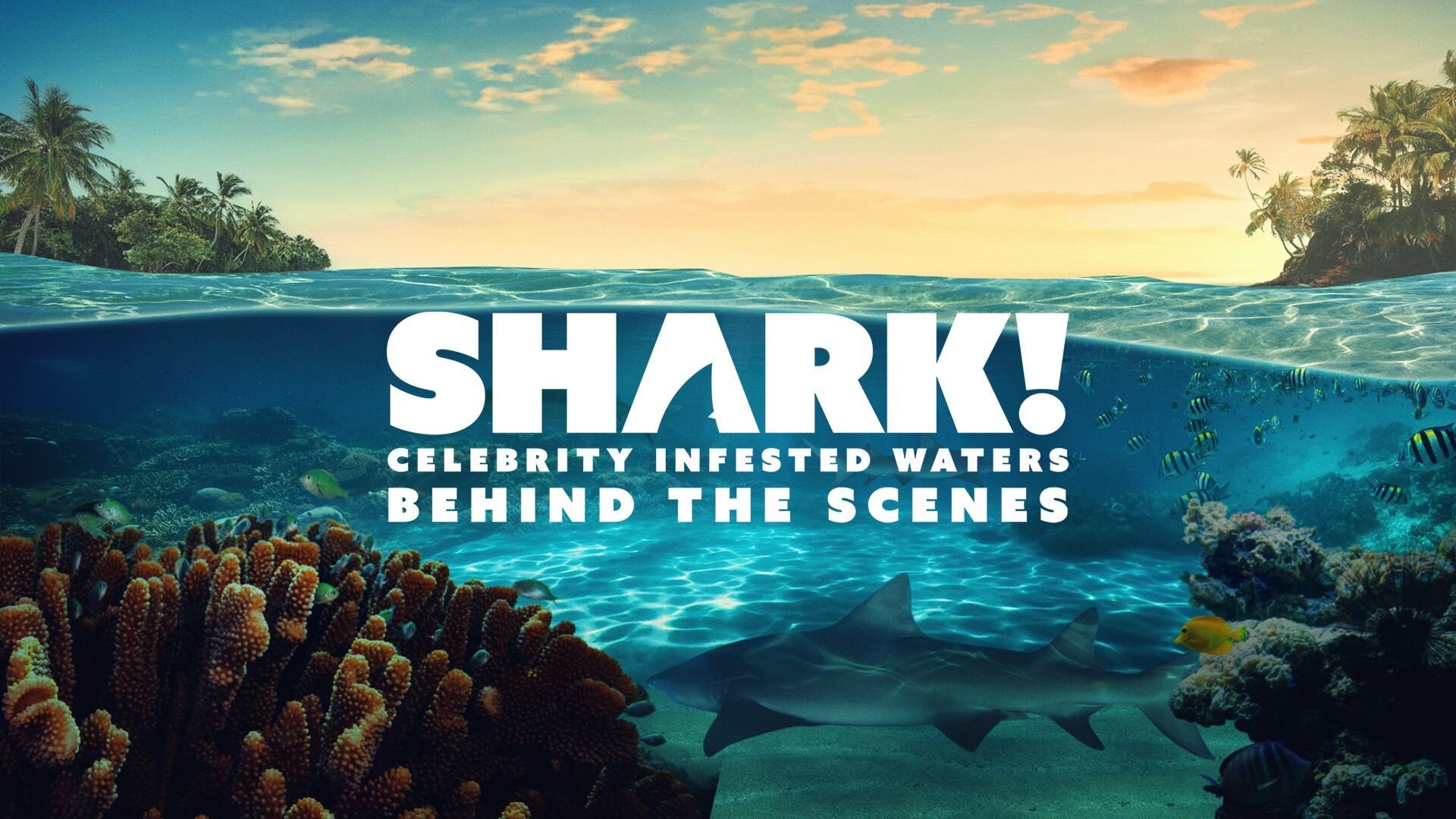 SHARK! Celebrity Infested Waters S1 Special – Behind The Scenes