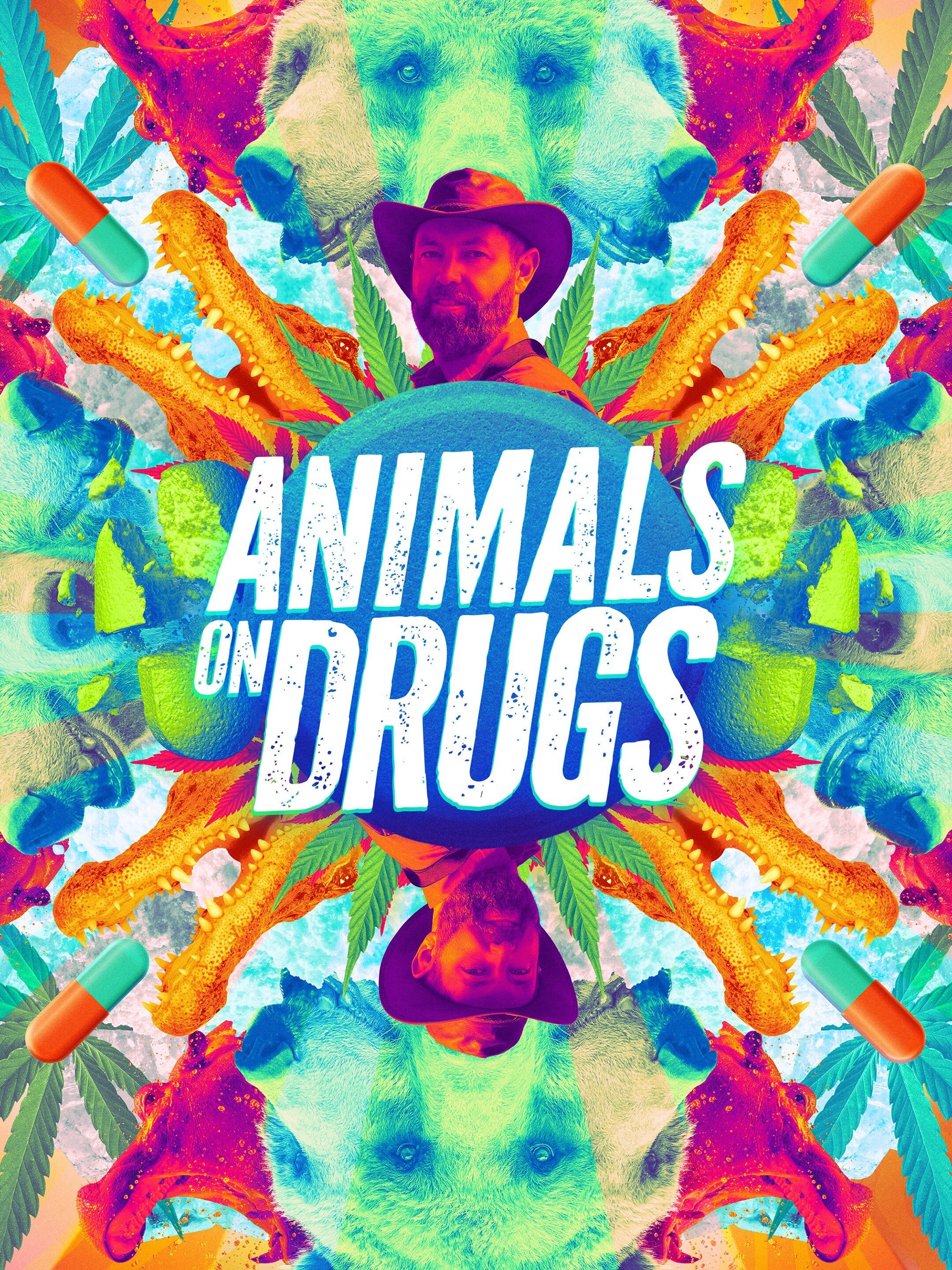 Animals on Drugs poster
