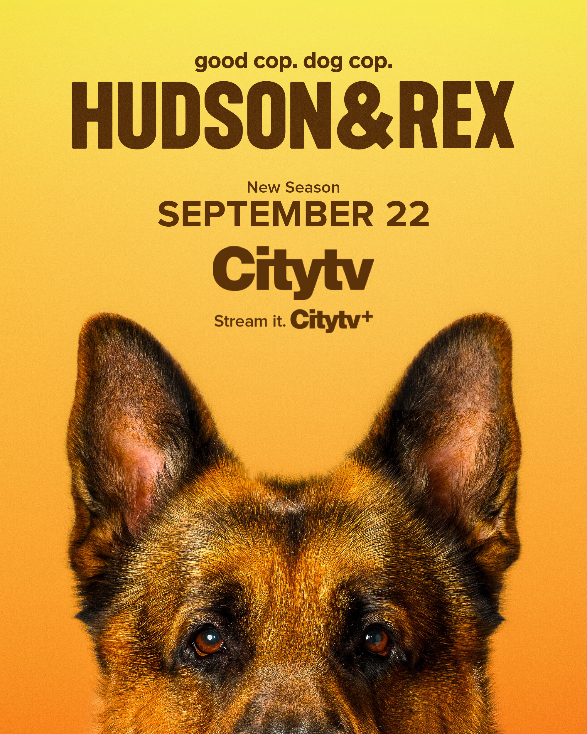 Hudson & Rex Season 8 poster