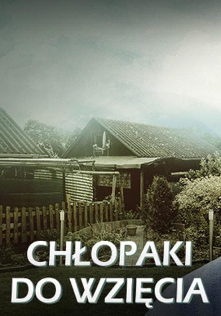 Chłopaki do wzięcia – official series poster, Polsat