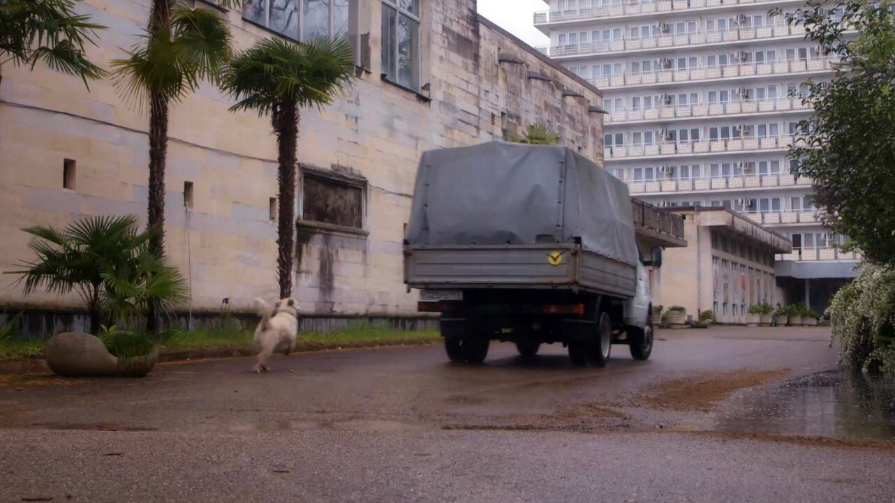 Чайка