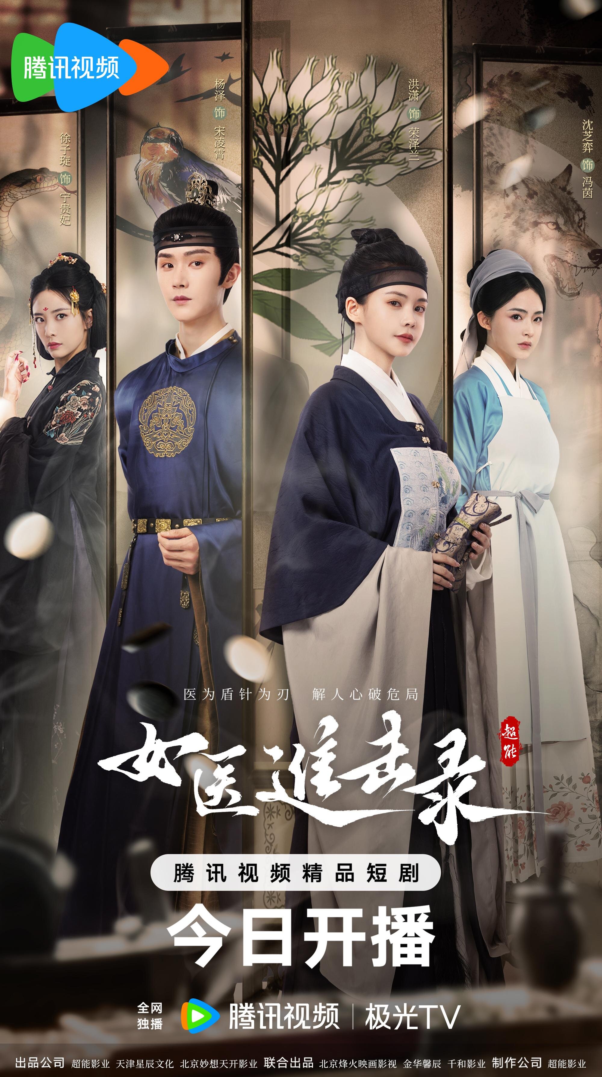 Rise of Her Lady Physician poster