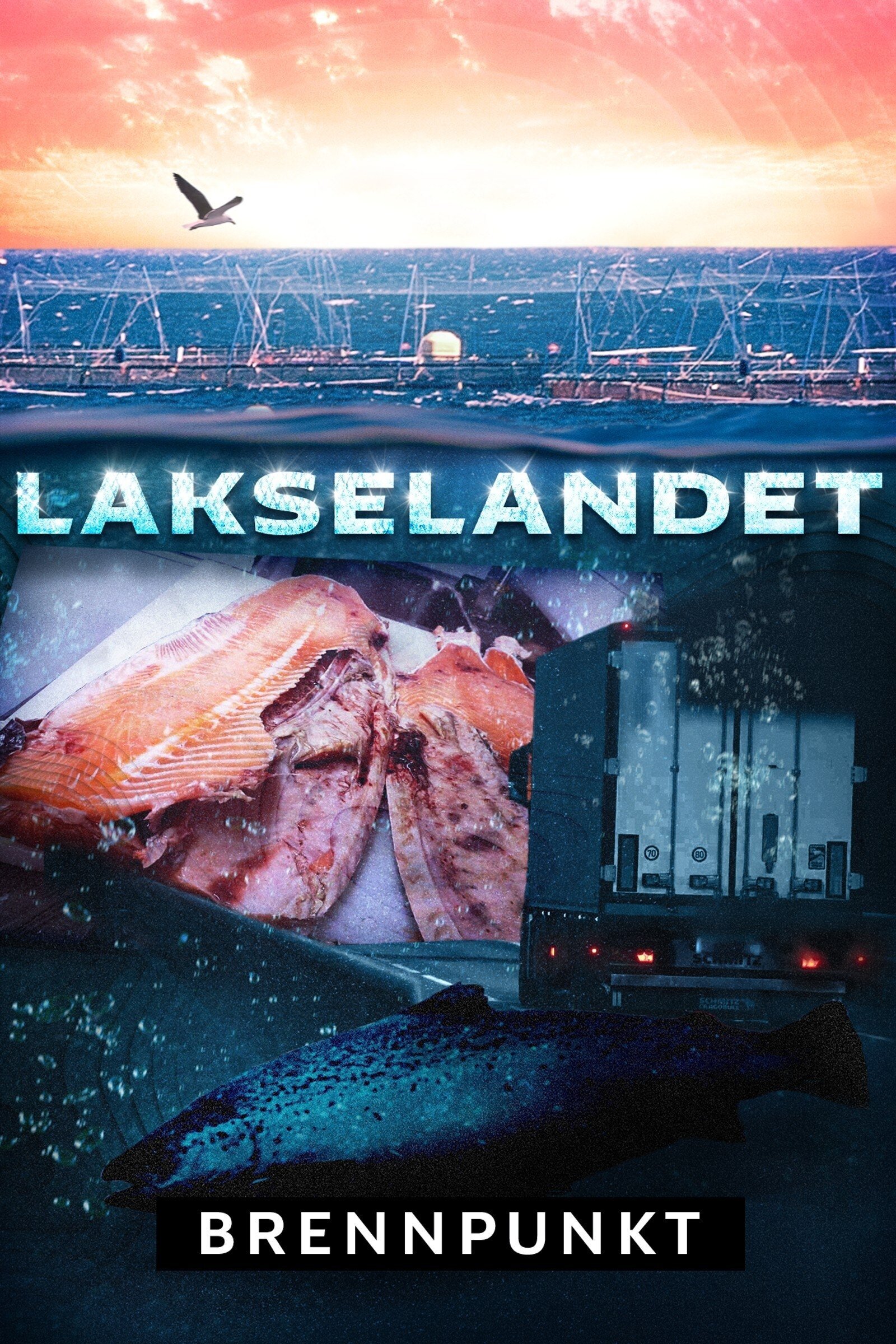 Brennpunkt: Lakselandet – official series poster, NRK TV