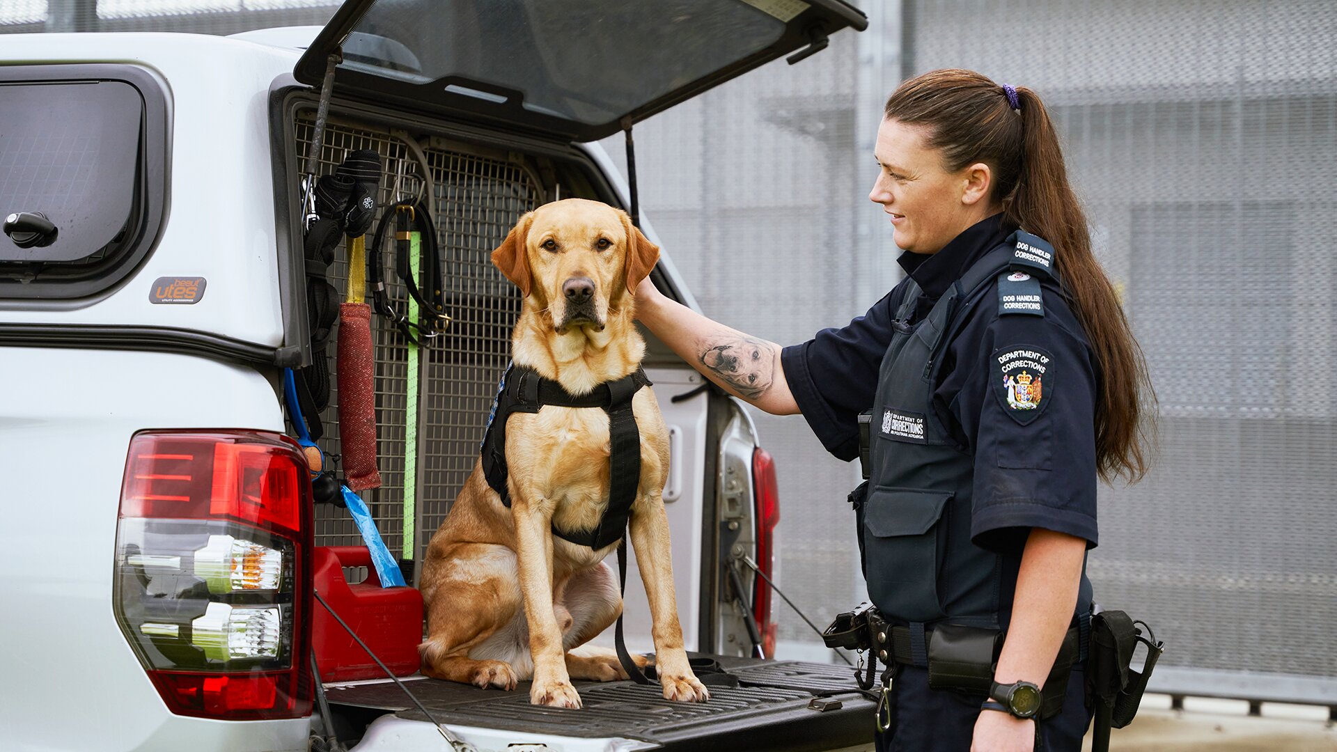 Dog Squad S14 E07 – Episode 7