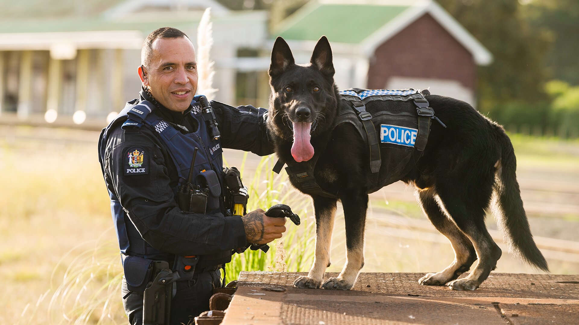 Dog Squad S14 E08 – Episode 8