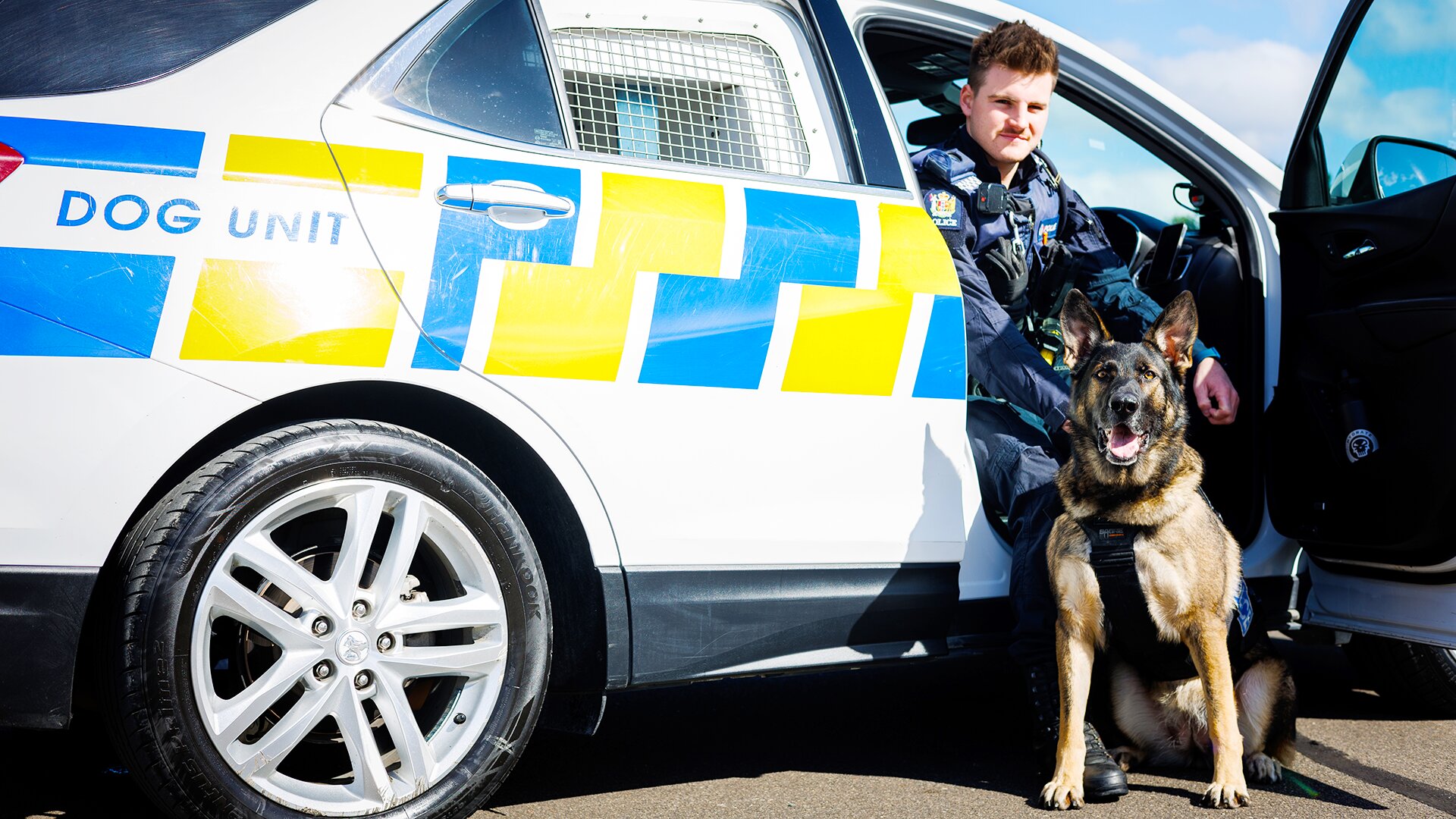 Dog Squad S14 E10 – Episode 10