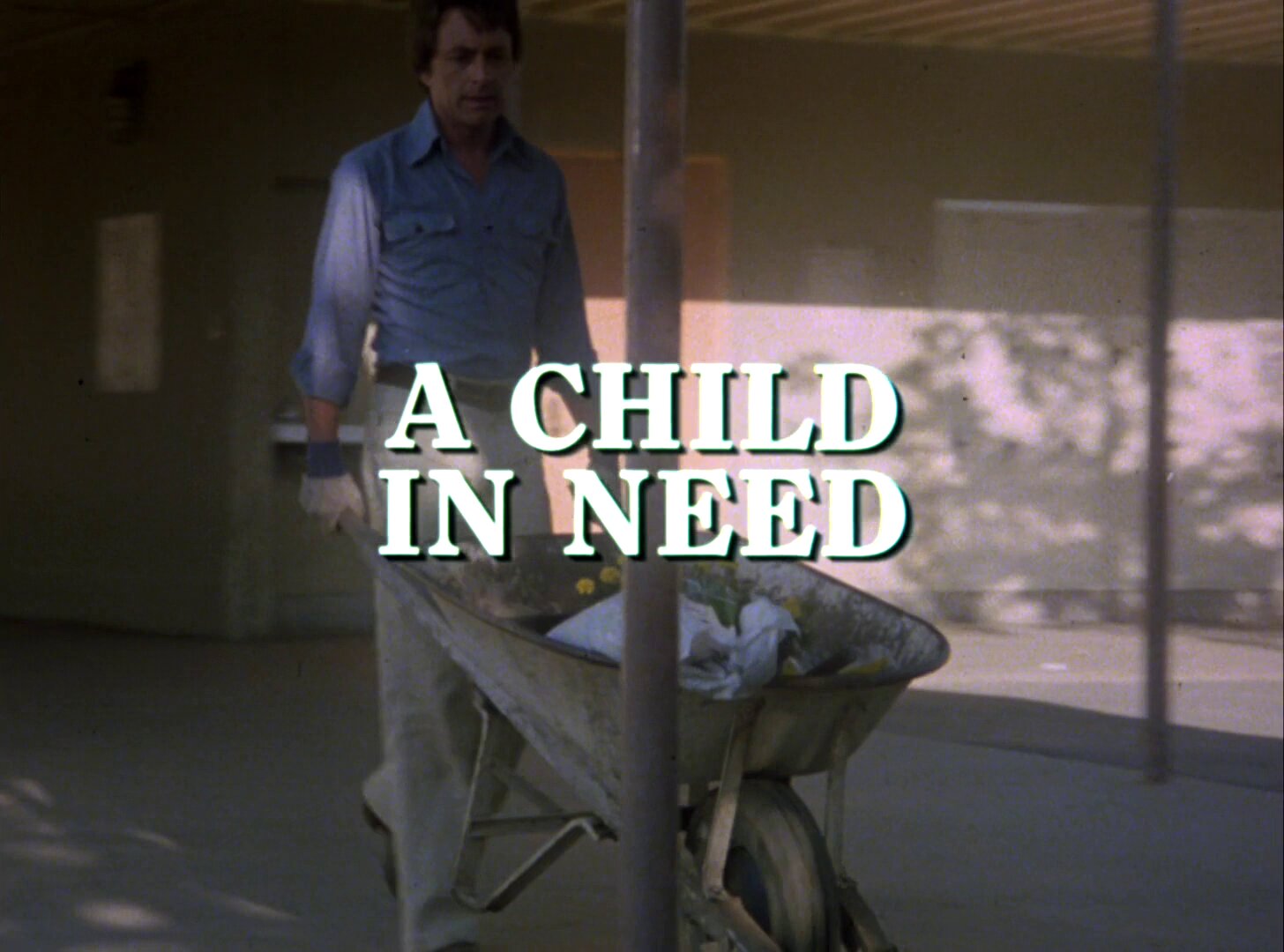 The Incredible Hulk S2 E05 – A Child in Need