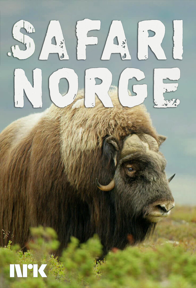 Safari Norge poster
