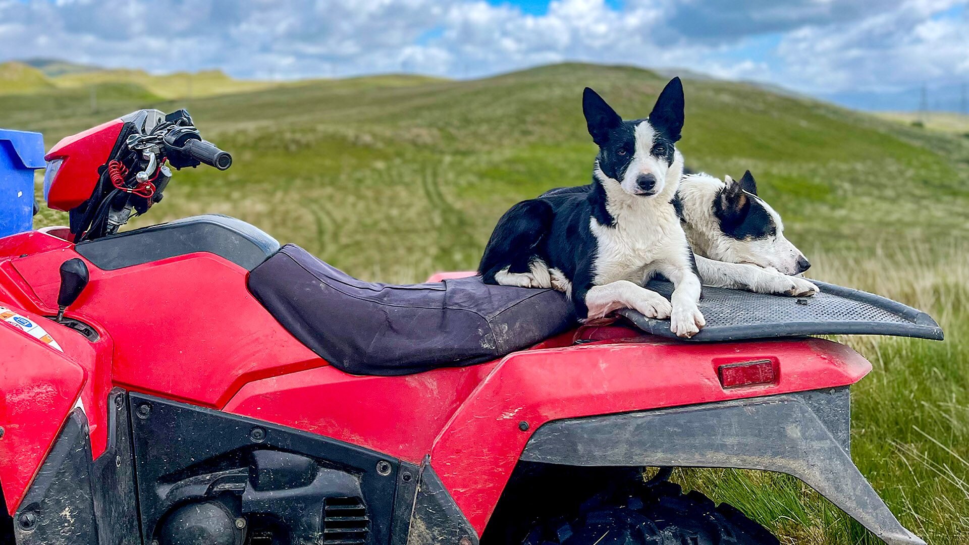 Farm 999 S1 E13 – Police Target Badger Crime and Quad Bike Mayhem