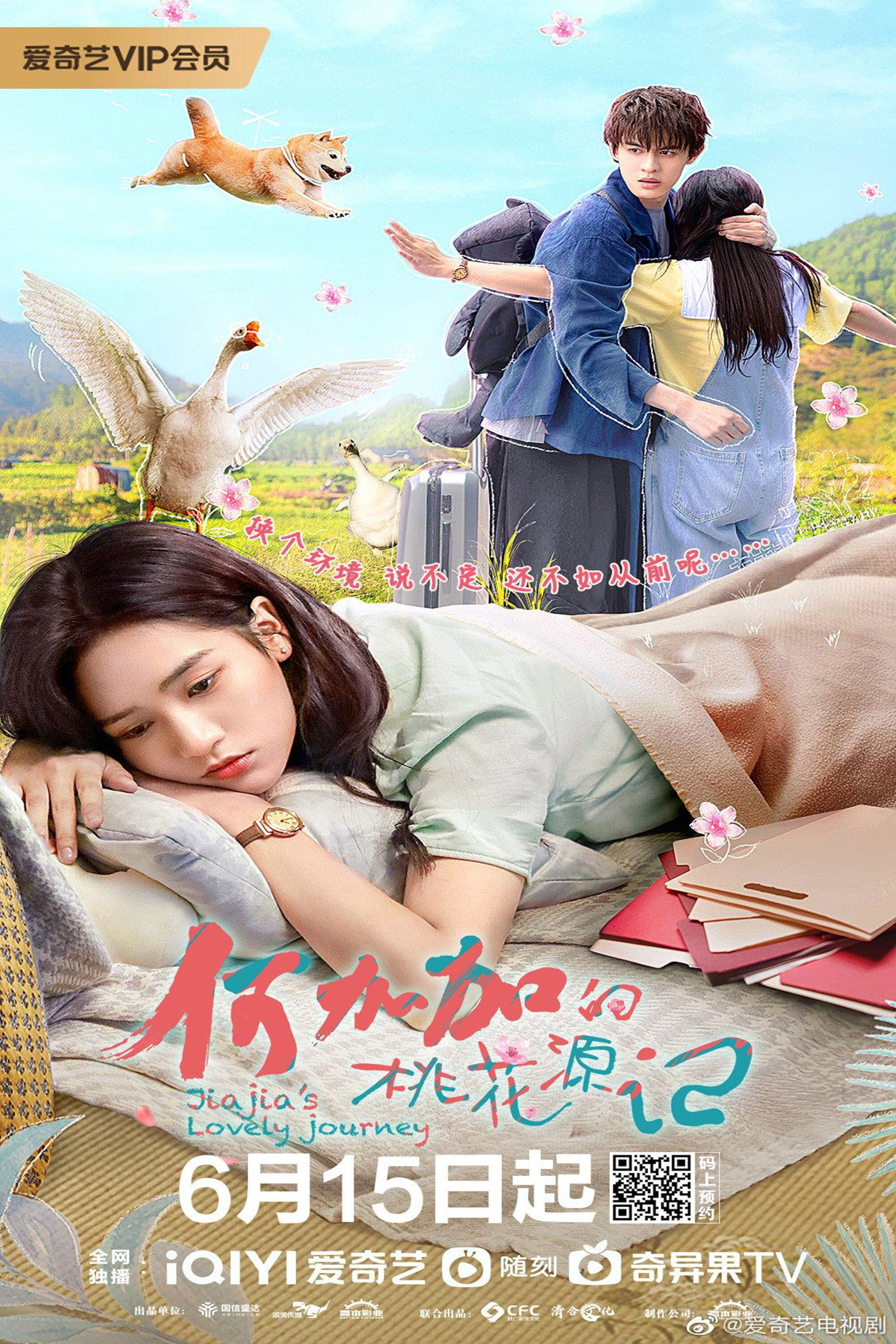 Jiajia's Lovely Journey poster