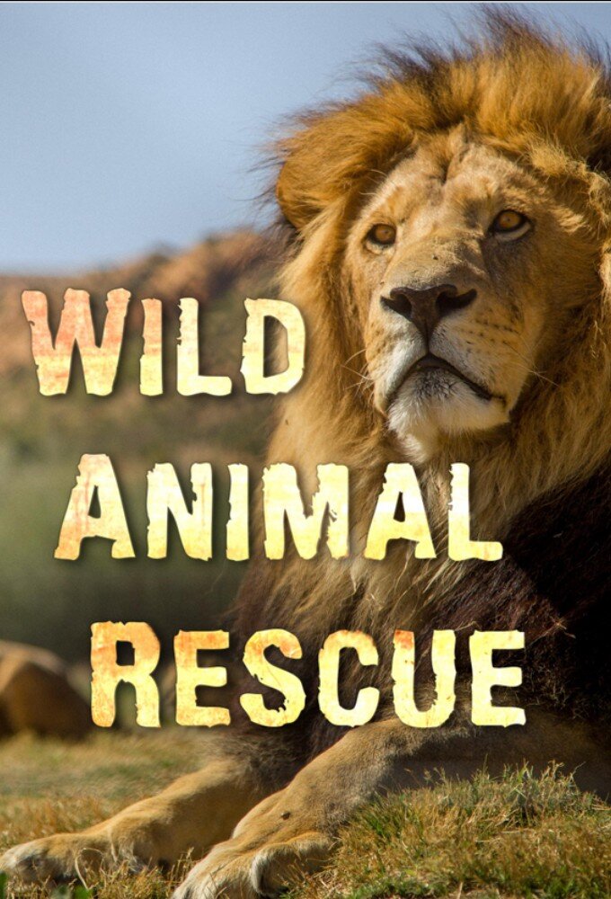 Wild Animal Rescue poster