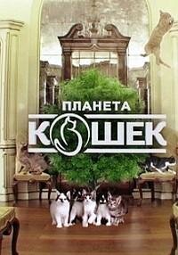 Планета кошек poster
