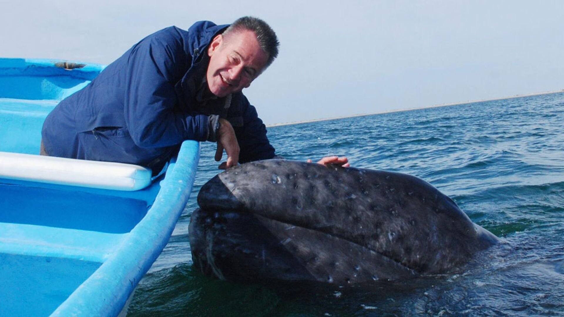 Whale Adventure with Nigel Marven S1 E02 – North to the Golden Gate