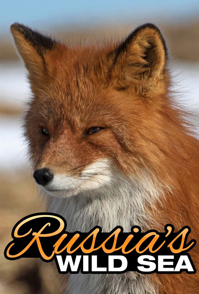 Russia's Wild Sea poster