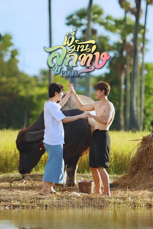 Love Harvest poster