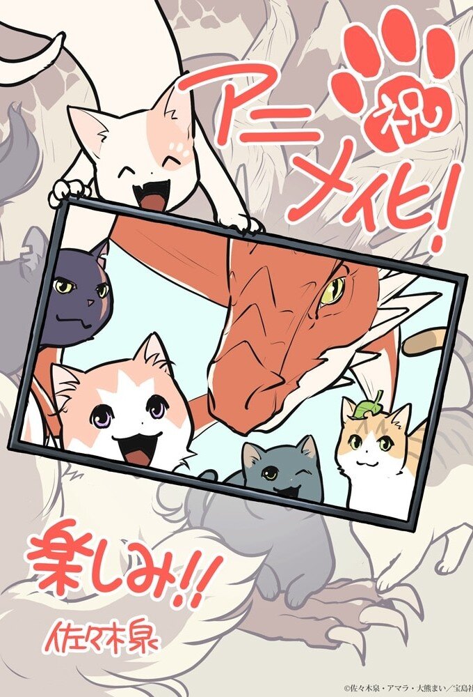 The Cat and the Dragon poster