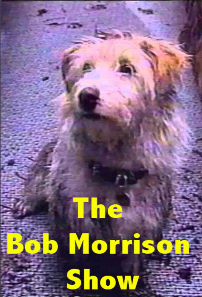 The Bob Morrison Show poster