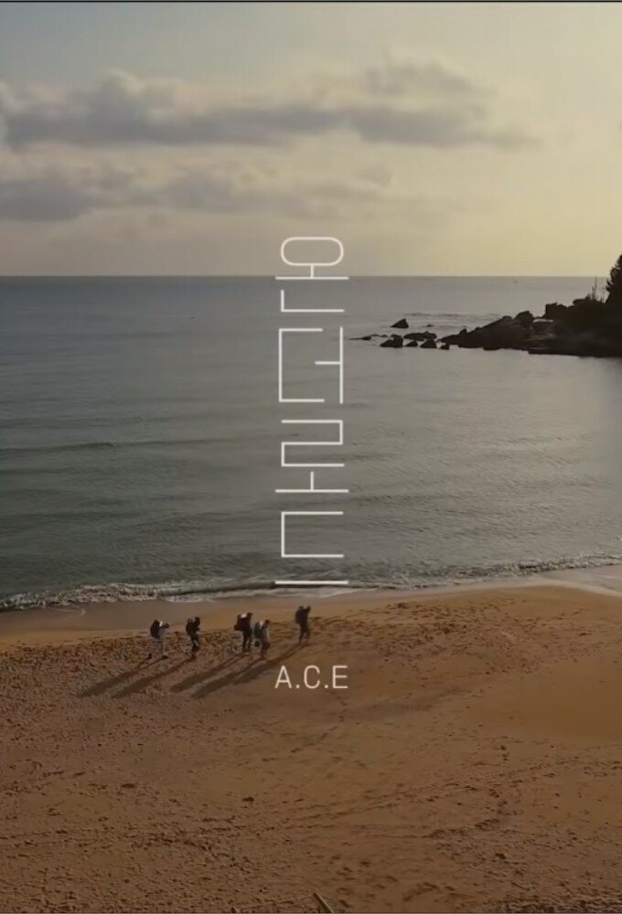 A.C.E On The Road poster
