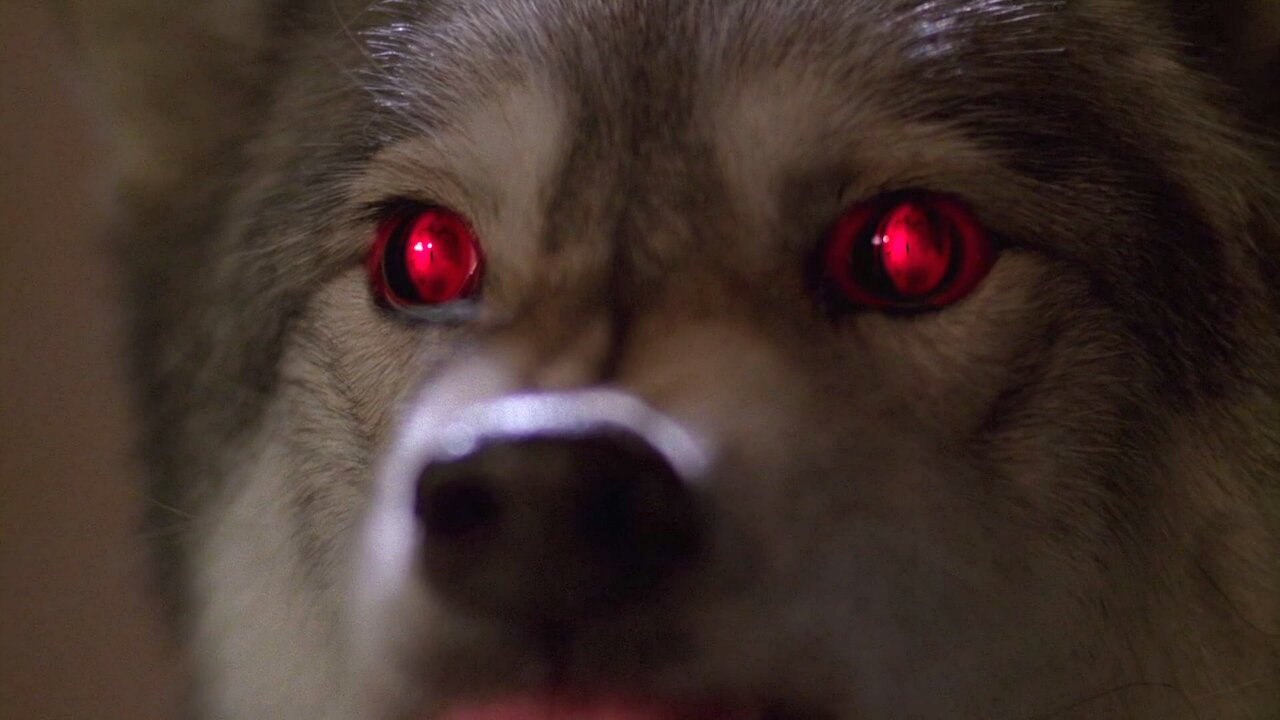 Alpha - The X-Files S06E16 | TVmaze