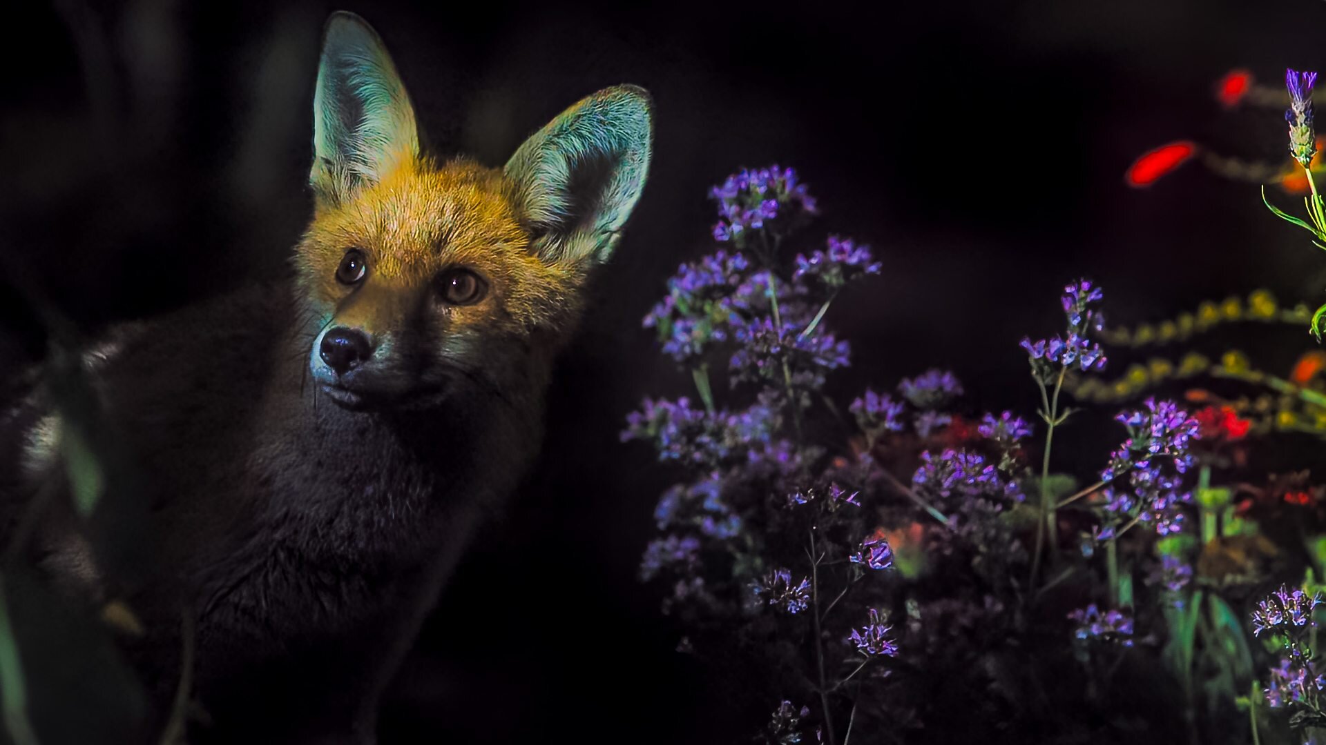 Secret Garden S1 E02 – Bristol