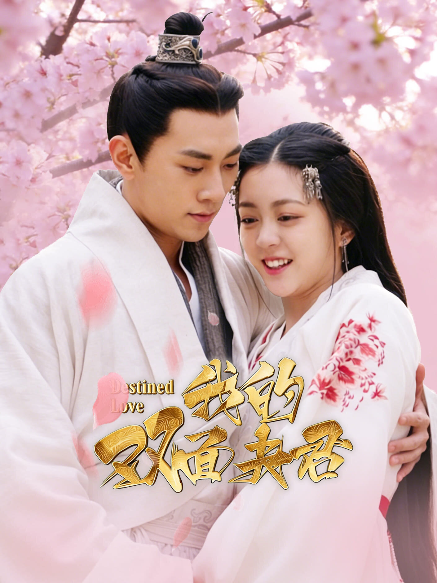 Destined Love poster