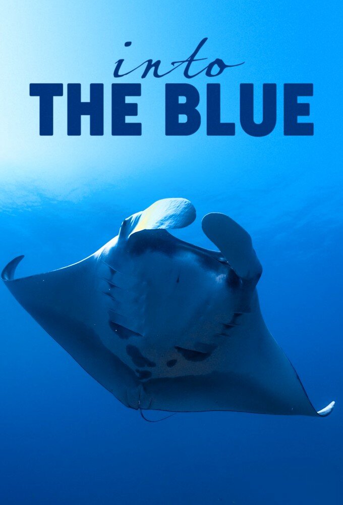 Into the Blue: Las maravillas del Triángulo de Coral poster