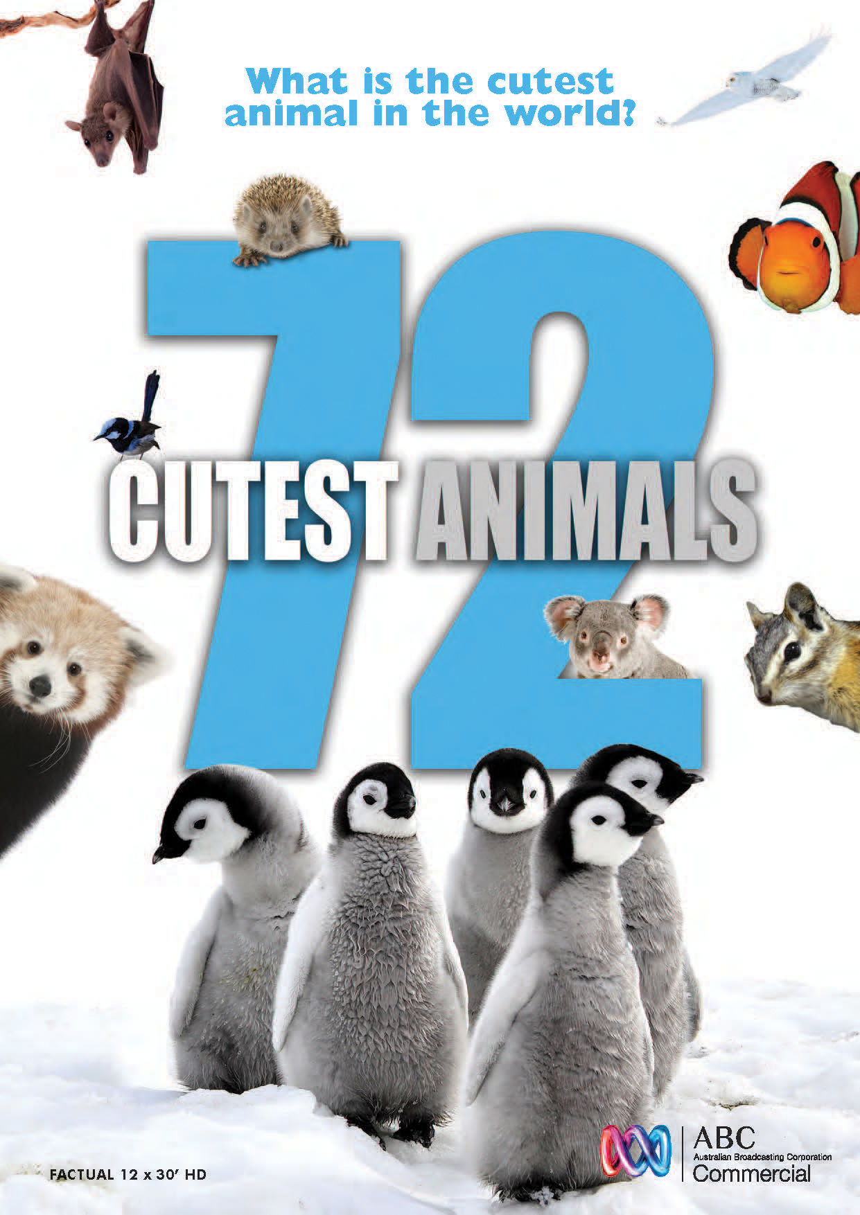 72 Cutest Animals | TVmaze