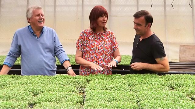 A Taste of Britain S1 E17 – Norfolk