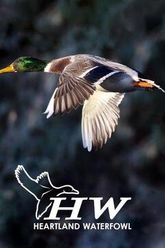 Heartland Waterfowl poster