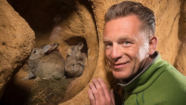 The Burrowers: Animals Underground S1 E02 – Episode 2