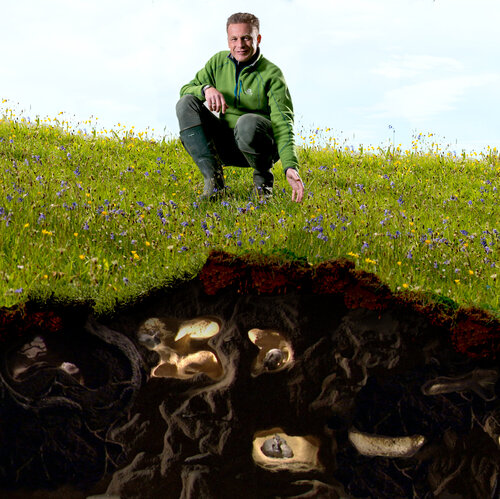 The Burrowers: Animals Underground